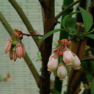 20160408131133840.jpg