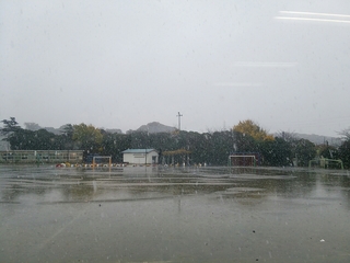 20161124154420103.jpg