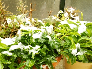20161124154951236.jpg