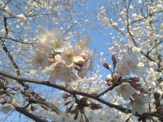 20180403112658170.jpg